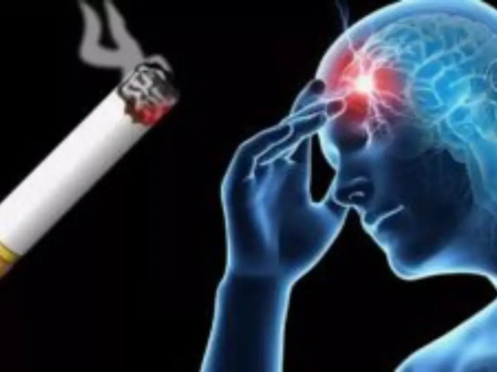 stroke causes and prevention, stroke (brain attack) - causes treatment & prevention, brain stroke: symptoms treatment & prevention, ischemic stroke causes and symptoms, brain stroke prevention tips, brain stroke symptoms, brain stroke causes, stroke risk factors and prevention, symptoms & treatment of brain stroke, stroke symptoms and treatment, symptoms of brain stroke, stroke signs and symptoms, what causes brain stroke?, stroke signs and symptoms video, signs and symptoms of stroke, cause of brain stroke