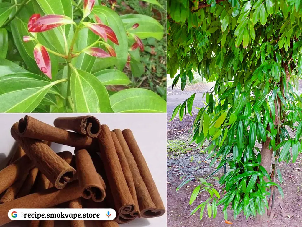 natural kidney treatment, ways to dissolve and flush out kidney stones naturally, kidney stones treatment, improve kidney function naturally, how to get rid of kidney stones naturally, how to dissolve kidney stones naturally, kidney stone treatment, how to cure kidney stone naturally, habits that can damage your kidneys, natural remedies to clean kidney, how to remove stone from kidney naturally, kidney infection treatment, foods that clean your kidneys, kidney stones renal colic, diet for healthy kidney function