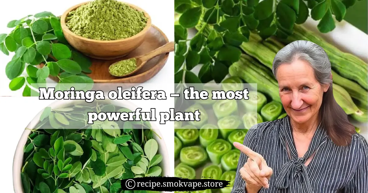 moringa plant benefits, the benefits of moringa, what are the benefits of moringa, what is the health benefits of moringa?, moringa leaves benefits, moringa capsules benefits, moringa powder health benefits, moringa powder benefits for females, moringa powder benefits, health benefits of moringa powder, benefits of moringa powder, moringa leaves powder benefits, moringa seeds benefits, moringa powder tea benefits, moringa health benefits, moringa weight loss benefits, moringa powder benefits for weight loss, moringa oleifera, max moringa oleifera, best moringa oleifera, o que e moringa oleifera, moringa oleifera leaves, moringa oleifera reviews, the moringa oleifera tree, moringa oleifera benefits, dr janine moringa oleifera, sementes de moringa oleifera, moringa oleifera side effects, moringa oleifeira, moringa oleifera health benefits, a verdade sobre a moringa oleifera,