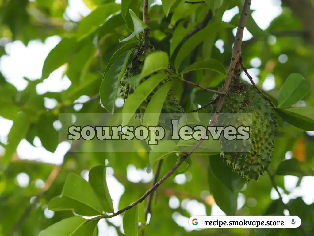 natural kidney treatment, ways to dissolve and flush out kidney stones naturally, kidney stones treatment, improve kidney function naturally, how to get rid of kidney stones naturally, how to dissolve kidney stones naturally, kidney stone treatment, how to cure kidney stone naturally, habits that can damage your kidneys, natural remedies to clean kidney, how to remove stone from kidney naturally, kidney infection treatment, foods that clean your kidneys, kidney stones renal colic, diet for healthy kidney function